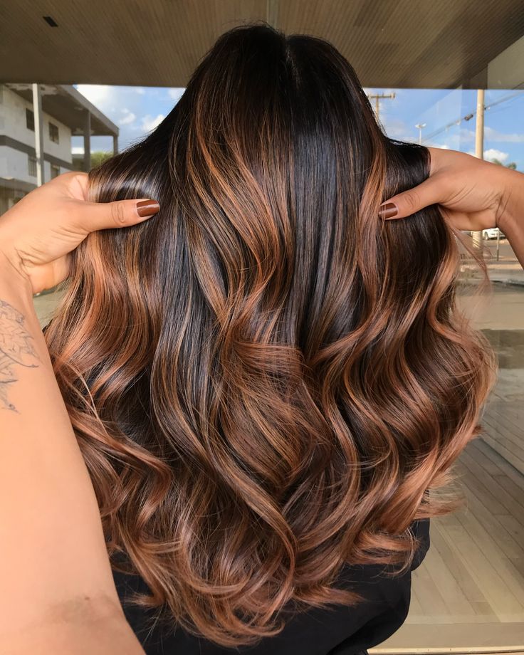 Coloring & Highlights